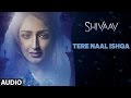TERE NAAL ISHQA Full Audio Song SHIVAAY Kailash Kher Ajay Devgn T Series