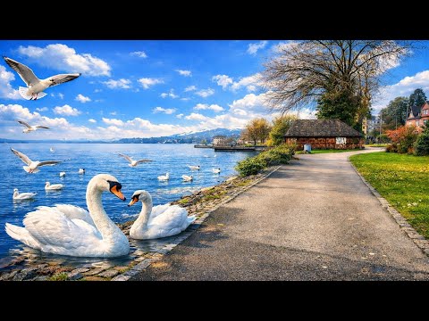 Charming Swiss Town on Lake Bodensee 🇨🇭 | Beautiful Rorschach Promenade Walk 4K