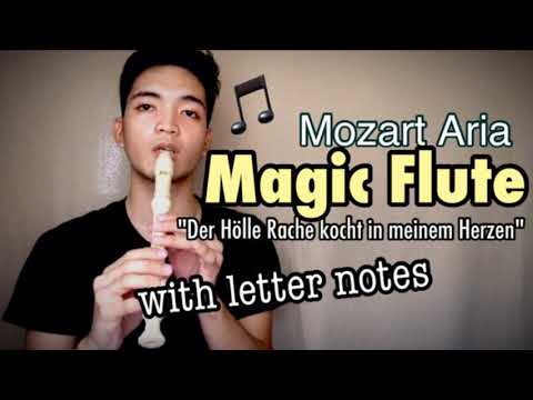 The Magic Flute - Der Hölle Rache Kocht In…