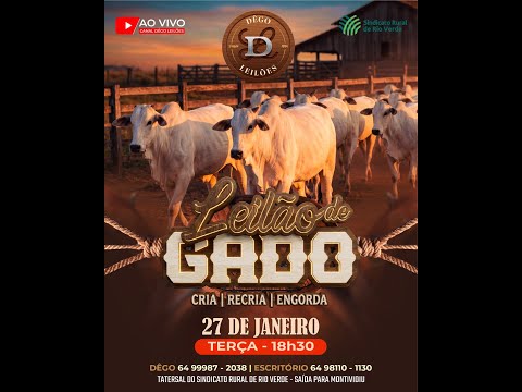 LEILAO DE GADO  27 - 01 - 2026 - Sindicato Rural de Rio Verde - Dêgo Leilões