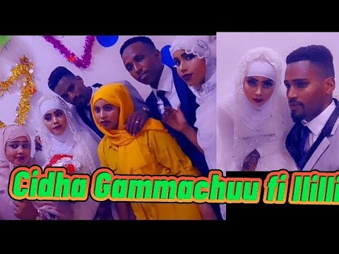 Cidha Aab. Gammachuu fi Aadde Ilillii. in Saud Arabia @abomsashow7660