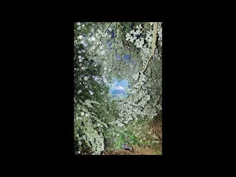 [FREE]  abel31 + realo + shooda type beat - "o'clock" (p. 6min)