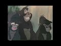 Opening And Closing To Mulan 2000 Letterbox VHS