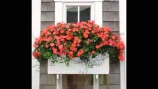 Klinčec stoji pod oblokom + tekst