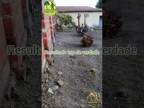 limpeza de terreno em itaitinga Ceará,  # #chamaomelhodaregiao #itaitinga.