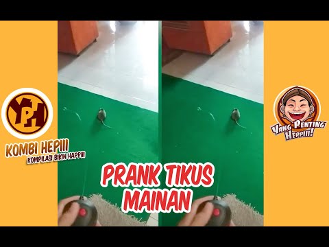 kombi-heppiii-prank-tikus-mainan