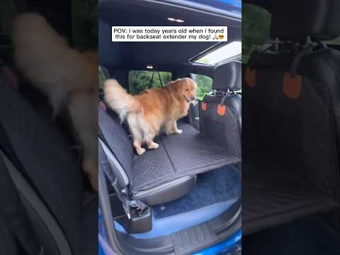 We love this backseat extender for dogs! The best 2024 upgrade ever 🙏🏼🐶