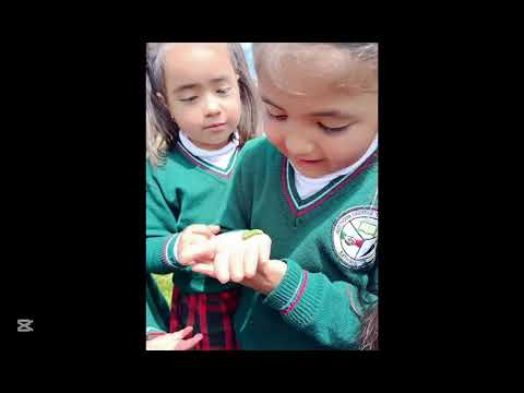 🌾Cosechando Saberes: Educación que florece desde las raices🌿