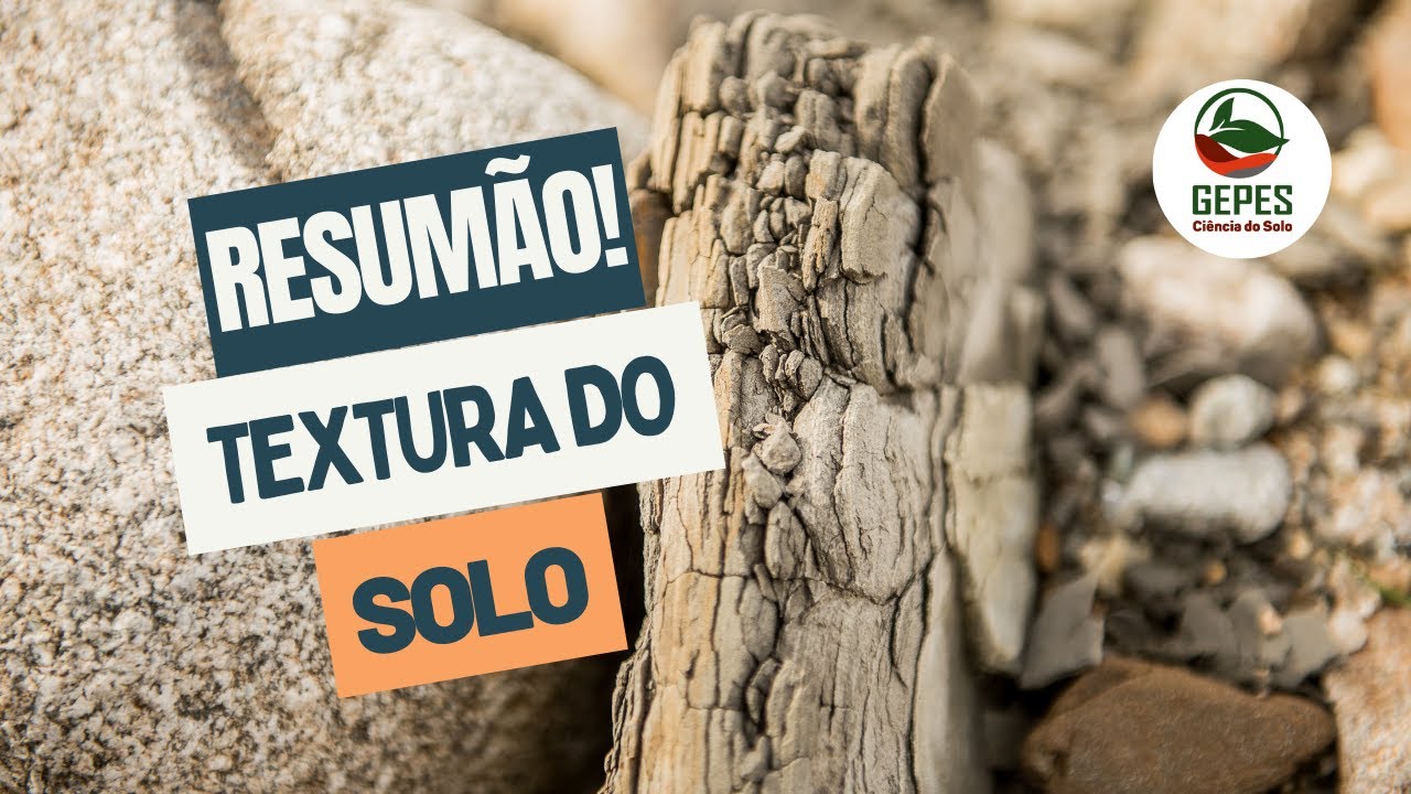 Resumão sobre textura do solo: vem ver!