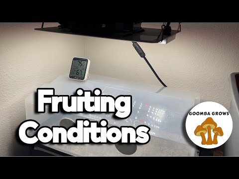 Transferring Your Monotub Into FRUITING