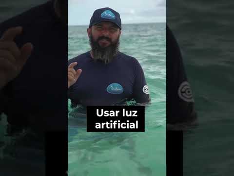 Video thumb