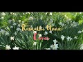 Rasaathi Unna Unplugged Cover Ilayaraja Vaidegi Kathirunthal