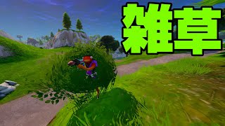 【FORTNITE/フォートナイト】ブッシュと魚と時々落下死...笑