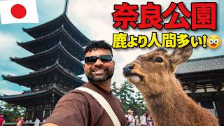 24 Hours in NARA Japan 🇯🇵 (Deer Park) 奈良行って来た！(奈良公園)