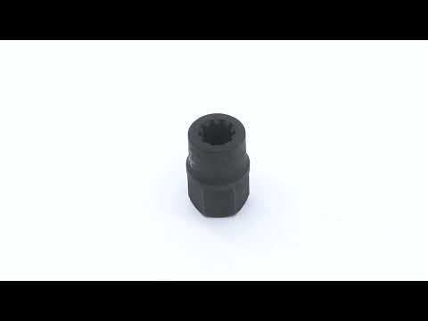 動画を再生