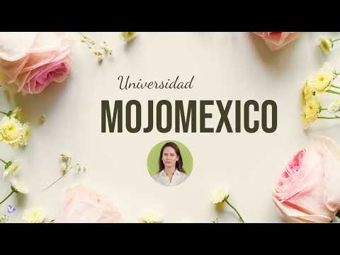 Ingles Profesional y Universitario