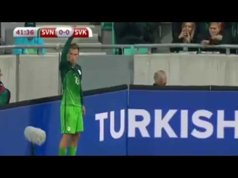 Slovenia - Slovakia 1-0 Goals & Highlights 08/10/2016