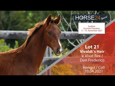 Horse24 Special - Auktion Zuchthof Stockem:Lot 21 Vivaldi´s Heir Hengst v. Vivat Rex - Don Frederico