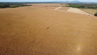 Tour virtual da propriedade