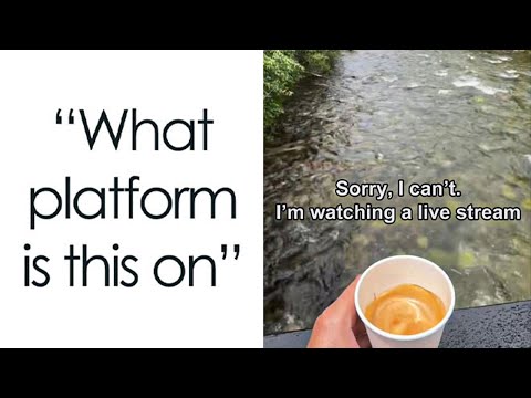 Times People Took Directions Literally, Leading to Funny Results