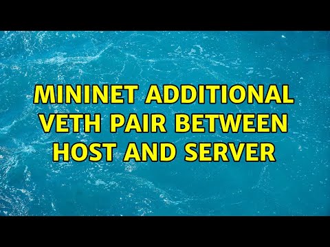 Mininet additional veth pair between host and server