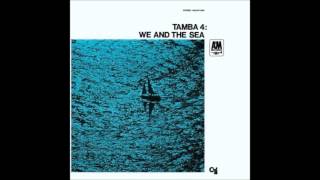 Tamba 4 - The dolphin