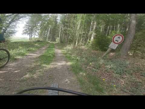 MTB Rundtour Dasing - Adelzhausen - Gallenbach - Dasing