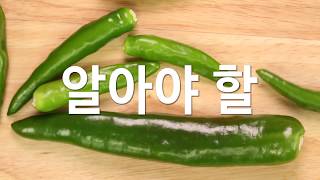 [기획취재] 야동에 대해 당신이 알아야 할 5가지