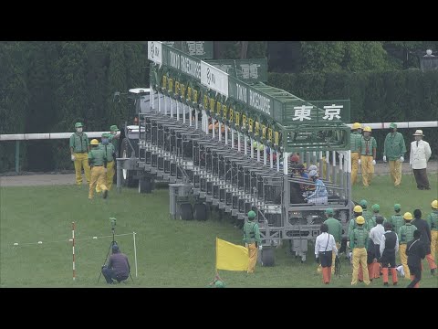 2022 VICTORIA MILE (G1) | JRA Official