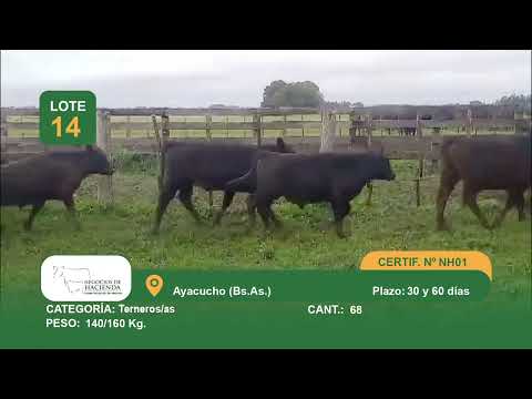 Lote M Y H - Ayacucho Bs As