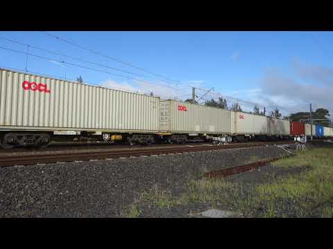 QL008 & QL007 with Qube 5166 - 1/12/21