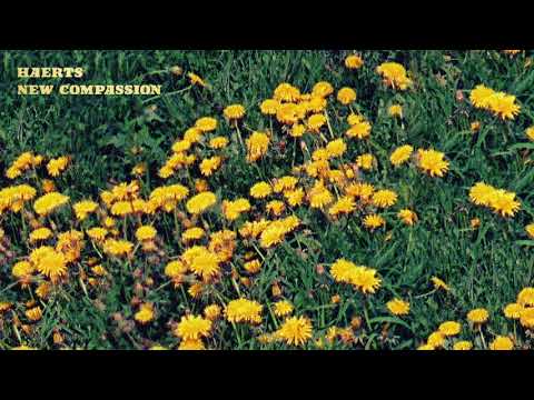 Video thumbnail for New Compassion