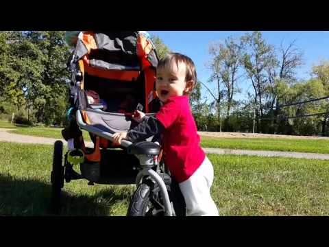 Daddy and baby roaring like lions