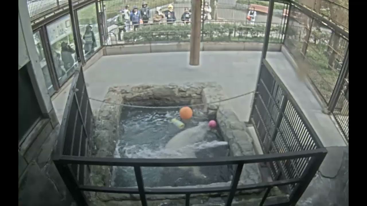 2026年3月24日のピース