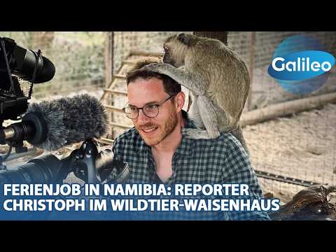 Video Thumbnail: Ferienjob in Namibia: Reporter Christoph im Wildtier-Waisenhaus
