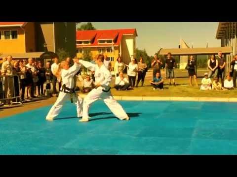 ITF Taekwon-Do - Traditional Sparring European Champions 2016