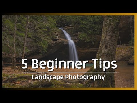 5 Tips for Beginner Landscape Photographers