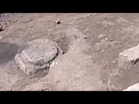 皇帝睡覺的地方