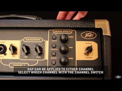 Acoustic Guitar Amp - Peavey Ecoustic E110 image 11