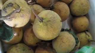 preview picture of video 'Fruits at a market, Vientiane, Laos'