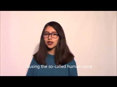 Organs of Speech VALESKA 1