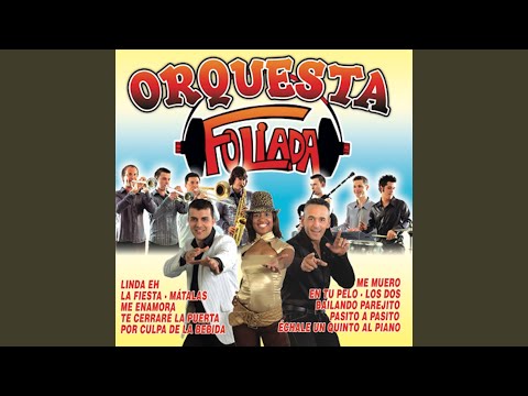 Por Culpa de la Bebida