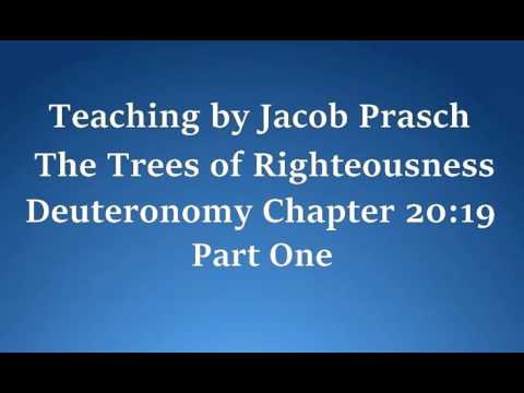 Jacob Prasch The Trees of Righteousness Part 1 May 1 2016 – Andrew R