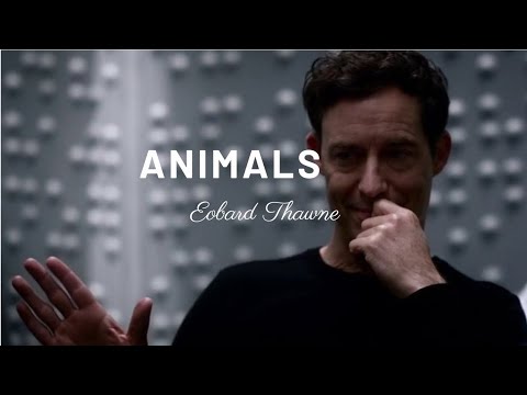 Eobard Thawne | Animals - Maroon 5