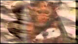 Endraum - koerperraum