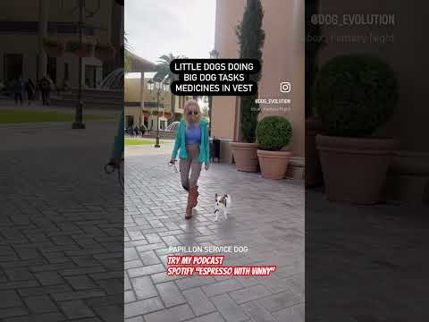 Helping seniors live a better life #servicedog #medical