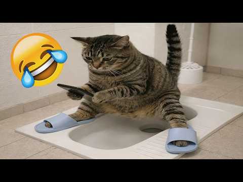 Funniest Cats and Dogs Clips 2026🐶🐱Try Not To Laugh😂
