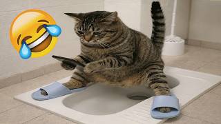 Funniest Cats and Dogs Clips 2026🐶🐱Try Not To Laugh😂