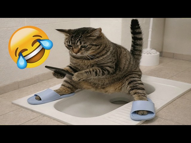 Funniest Cats and Dogs Clips 2026🐶🐱Try Not To Laugh😂