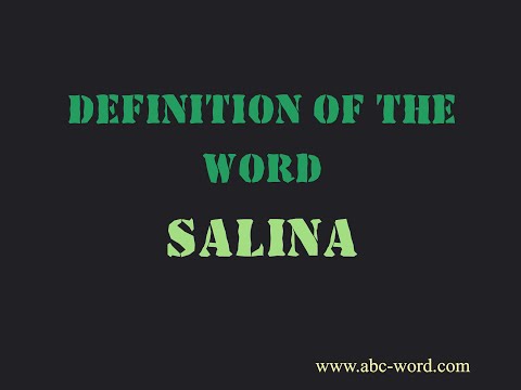 Definition of the word "Salina"